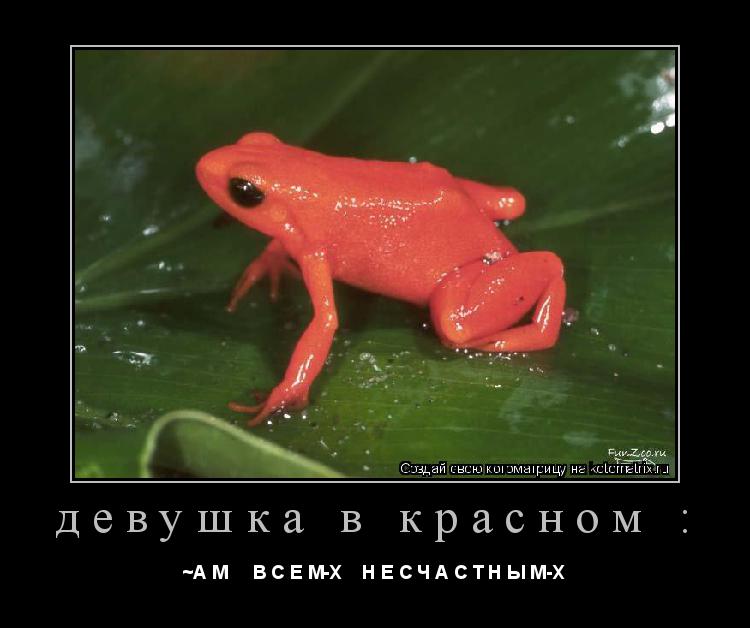 девушка в красном : ~А М В С Е М-Х Н Е С Ч А С Т Н Ы М-Х... Котоматрица: девушка в красном : ~А М В С Е М-Х Н Е С Ч А С Т Н Ы М-Х