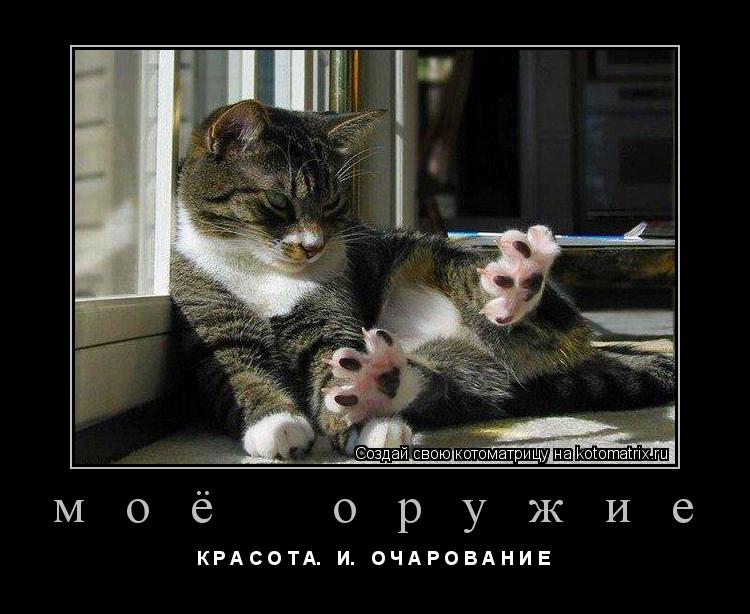 Котоматрица: м о ё    о р у ж и е К Р А С О Т А.   И.   О Ч А Р О В А Н И Е