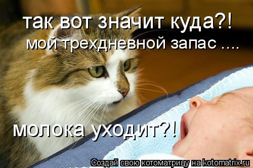 Котоматрица: так вот значит куда?! молока уходит?! мой трехдневной запас ....