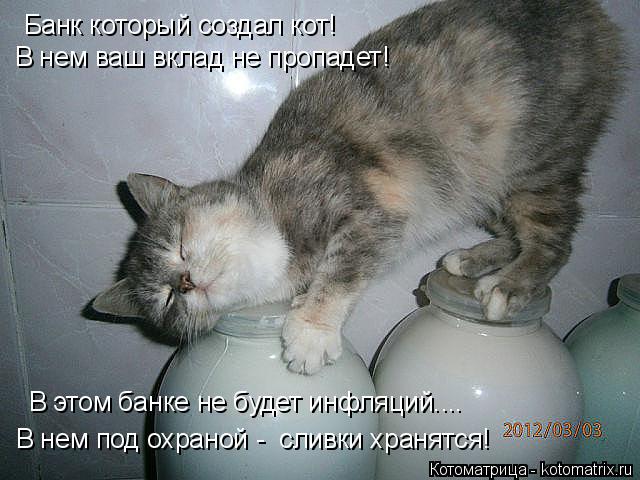 Котоматрица: Банк который создал кот! В нем ваш вклад не пропадет! В этом банке не будет инфляций.... В нем под охраной -  сливки хранятся!