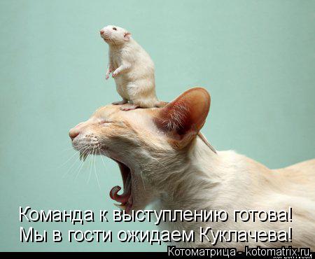 Команда к выступлению готова! Мы в гости ожидаем Куклачева!... Котоматрица: Команда к выступлению готова! Мы в гости ожидаем Куклачева!