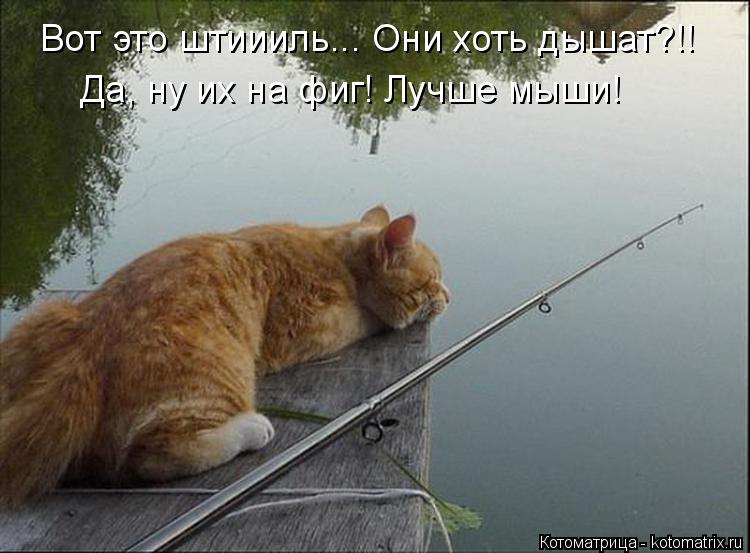 Котоматрица: Вот это штиииль... Они хоть дышат?!! Да, ну их на фиг! Лучше мыши!