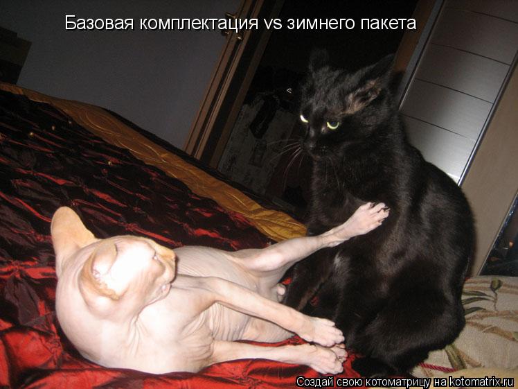 Базовая комплектация vs зимнего пакета... Котоматрица: Базовая комплектация vs зимнего пакета
