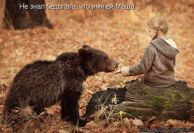 Не знал бедолага, что имя ей Маша... Котоматрица: Не знал бедолага, что имя ей Маша