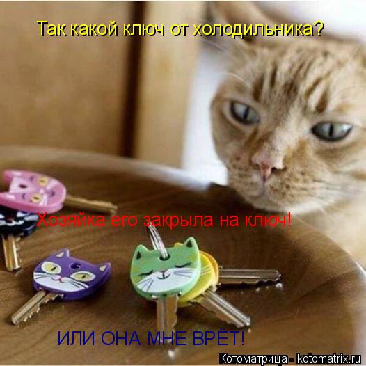 Так какой ключ от холодильника? Хозяйка его закрыла на ключ! ИЛИ ОНА МНЕ ВРЁТ!... Котоматрица: Так какой ключ от холодильника? Хозяйка его закрыла на ключ! ИЛИ ОНА МНЕ ВРЁТ!