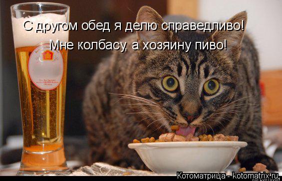 Мне колбасу, а хозяину пиво! С другом обед я делю справедливо!... Котоматрица: Мне колбасу, а хозяину пиво! С другом обед я делю справедливо!