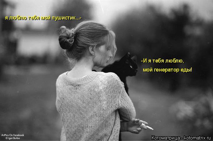 я люблю тебя мой пушистик...- -И я тебя люблю, мой генератор еды!... Котоматрица: я люблю тебя мой пушистик...- -И я тебя люблю, мой генератор еды!
