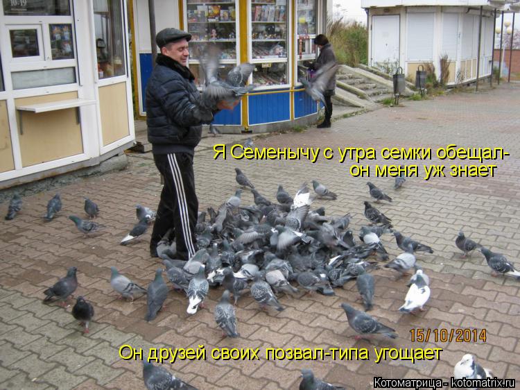 Котоматрица: Я Семенычу с утра семки обещал- Он друзей своих позвал-типа угощает он меня уж знает