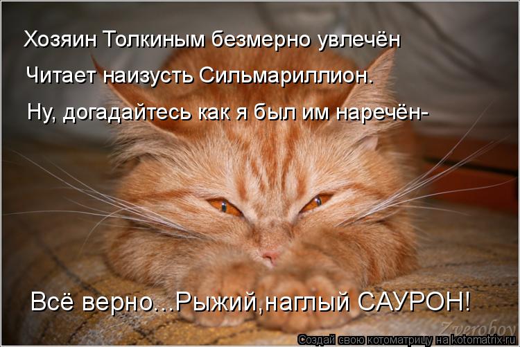 Котоматрица: Хозяин Толкиным безмерно увлечён Читает наизусть Сильмариллион. Ну, догадайтесь как я был им наречён- Всё верно...Рыжий,наглый САУРОН!