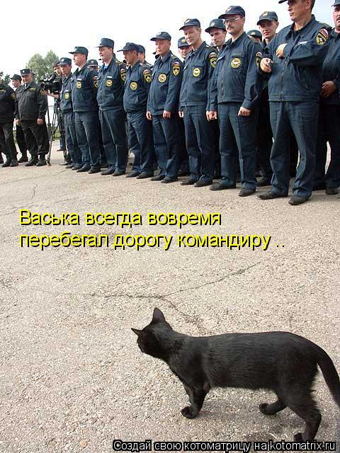 Котоматрица: Васька всегда вовремя перебегал дорогу командиру ..