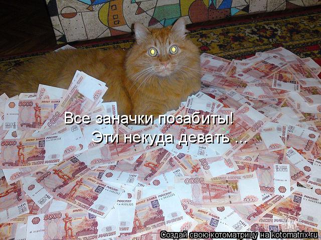 Котоматрица: Все заначки позабиты! Эти некуда девать ...