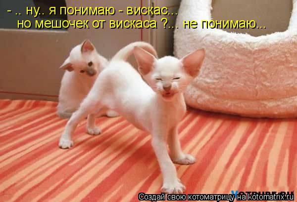 - .. ну.. я понимаю - вискас... но мешочек от вискаса ?... не понимаю...... Котоматрица: - .. ну.. я понимаю - вискас... но мешочек от вискаса ?... не понимаю...