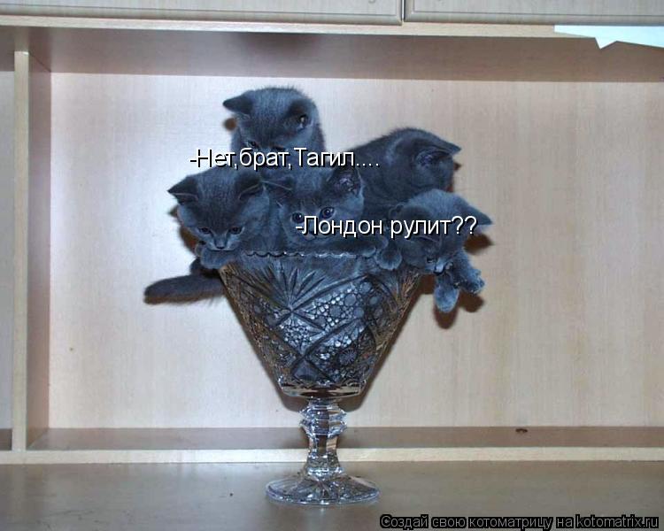 -Лондон рулит?? -Нет,брат,Тагил....... Котоматрица: -Лондон рулит?? -Нет,брат,Тагил....