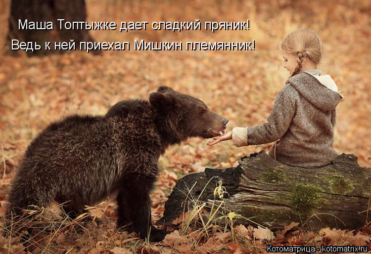 Маша Топтыжке дает сладкий пряник! Ведь к ней приехал Мишкин племянник!... Котоматрица: Маша Топтыжке дает сладкий пряник! Ведь к ней приехал Мишкин племянник!