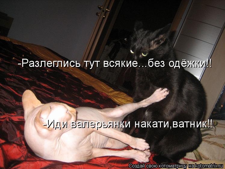 -Иди валерьянки накати,ватник!! -Разлеглись тут всякие...без одёжки!!... Котоматрица: -Иди валерьянки накати,ватник!! -Разлеглись тут всякие...без одёжки!!