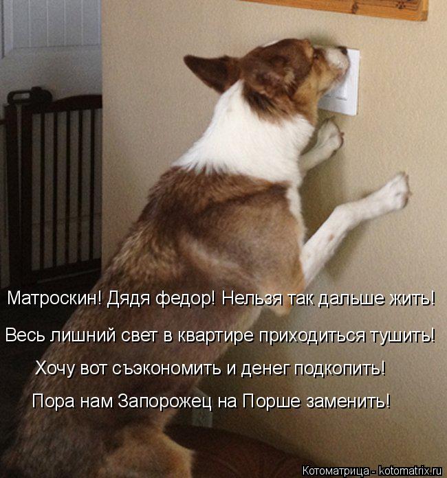 Котоматрица: Матроскин! Дядя федор! Нельзя так дальше жить! Весь лишний свет в квартире приходиться тушить! Хочу вот съэкономить и денег подкопить! Пора 