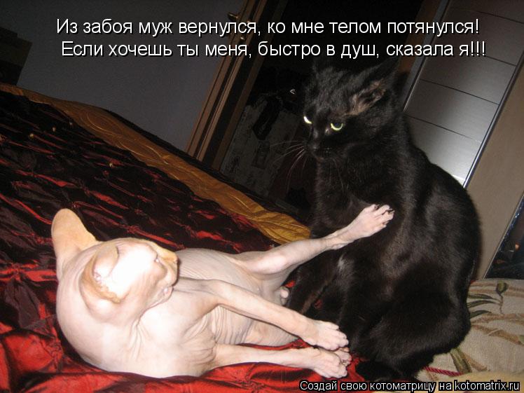 Если хочешь ты меня, быстро в душ, сказала я!!! Из забоя муж вернулся, ко мне телом потянулся!... Котоматрица: Если хочешь ты меня, быстро в душ, сказала я!!! Из забоя муж вернулся, ко мне телом потянулся!