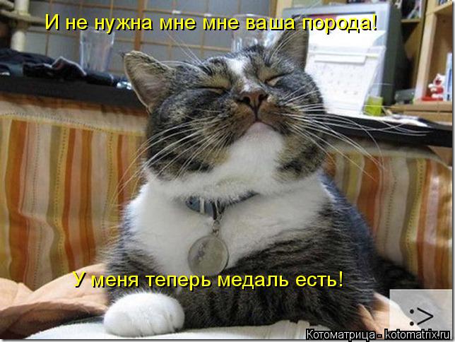 Котоматрица: И не нужна мне мне ваша порода! У меня теперь медаль есть!