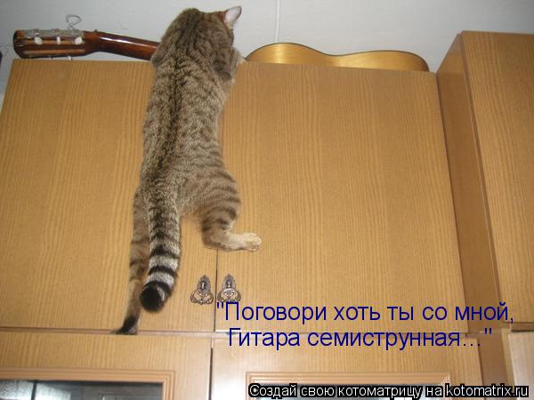 "Поговори хоть ты со мной, Гитара семиструнная…"... Котоматрица: "Поговори хоть ты со мной, Гитара семиструнная…"
