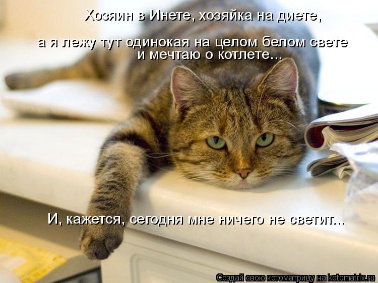 Котоматрица: а хозяин валяется где-то на первом этаже... а я лежу тут одинокая на целом белом свете и мечтаю о котлете... Хозяин в Инете, хозяйка на диете,  И,
