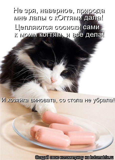 Не зря, наверное, природа мне лапы с кОгтями дала! Цепляются сосиски сами к моим когтям, и все дела!... Котоматрица: Не зря, наверное, природа мне лапы с кОгтями дала! Цепляются сосиски сами к моим когтям, и все дела! И хозяйка виновата, со стола не убрала!