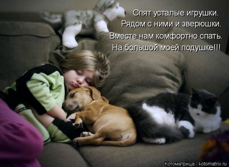 Котоматрица: Спят усталые игрушки. Рядом с ними и зверюшки. Вместе нам комфортно спать. На большой моей подушке!!!