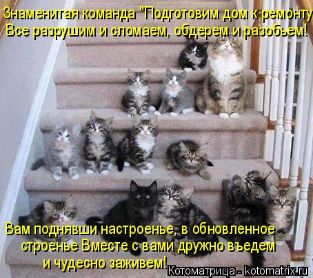 Знаменитая команда "Подготовим дом к ремонту!" Все разрушим и сломаем, обдерем и разобьем! Вам подняв... Котоматрица: Знаменитая команда "Подготовим дом к ремонту!" Все разрушим и сломаем, обдерем и разобьем! Вам поднявши настроенье, в обновленное строенье
