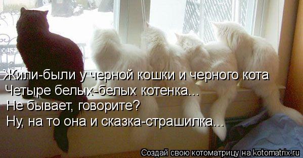 Котоматрица: Жили-были у черной кошки и черного кота Четыре белых-белых котенка... Не бывает, говорите? Ну, на то она и сказка-страшилка...