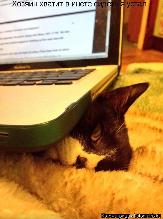 Котоматрица: Хозяин хватит в инете сидеть я устал