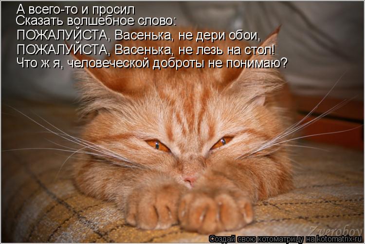 Котоматрица: А всего-то и просил Сказать волшебное слово: ПОЖАЛУЙСТА, Васенька, не дери обои, ПОЖАЛУЙСТА, Васенька, не лезь на стол! Что ж я, человеческой д
