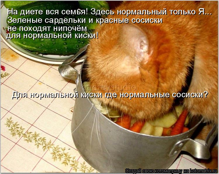 На диете вся семья! Здесь нормальный только Я... Зеленые сардельки и красные сосиски не походят нипоч... Котоматрица: На диете вся семья! Здесь нормальный только Я... Зеленые сардельки и красные сосиски не походят нипочём для нормальной киски! Для нормально