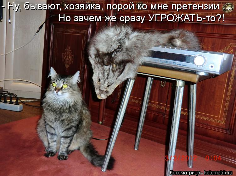 Котоматрица: - Ну, бывают, хозяйка, порой ко мне претензии .... Но зачем же сразу УГРОЖАТЬ-то?!