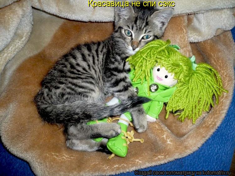 Котоматрица: Красавица не спи сэкс