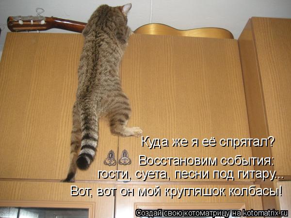 гости, суета, песни под гитару... Вот, вот он мой кругляшок колбасы! Восстановим события: Куда же я е... Котоматрица: гости, суета, песни под гитару... Вот, вот он мой кругляшок колбасы! Восстановим события: Куда же я её спрятал?