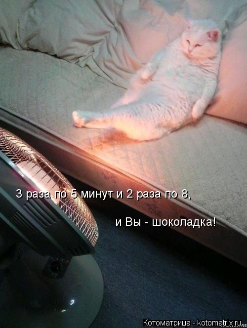 3 раза по 5 минут и 2 раза по 8, и Вы - шоколадка!... Котоматрица: 3 раза по 5 минут и 2 раза по 8, и Вы - шоколадка!