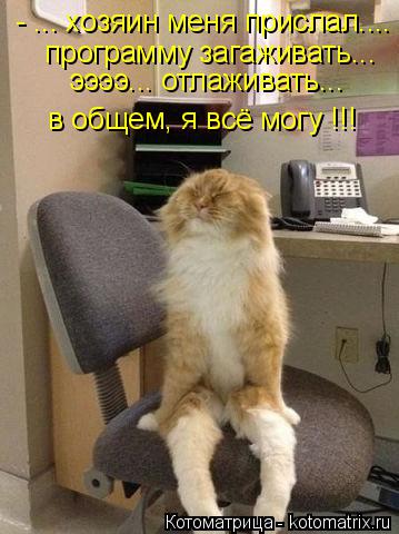 Котоматрица: - ... хозяин меня прислал.... программу загаживать... ээээ... отлаживать... в общем, я всё могу !!!