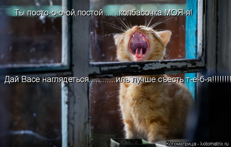 Котоматрица: Ты посто-о-о-ой,постой.......колбасочка МОЯ-я! Дай Васе наглядеться............иль лучше съесть т-е-б-я!!!!!!!!!!!!!