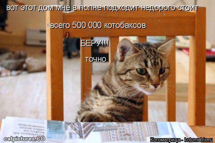 Котоматрица: вот этот дом мне в полне подходит недорого стоит всего 500 000 котобаксов  вот этот дом мне в полне подходит недорого стоит  всего 500 000 котобакс