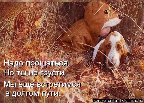 Котоматрица: Надо прощаться. Но ты не грусти. в долгом пути. Мы еще встретимся