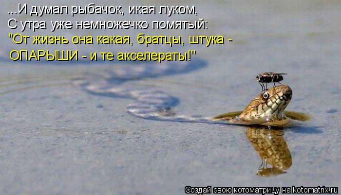 ...И думал рыбачок, икая луком, С утра уже немножечко помятый: "От жизнь она какая, братцы, штука - ... Котоматрица: ...И думал рыбачок, икая луком, С утра уже немножечко помятый: "От жизнь она какая, братцы, штука - ОПАРЫШИ - и те акселераты!"