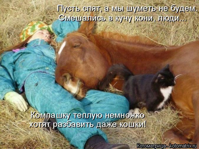 Котоматрица: Пусть спят, а мы шуметь не будем. Смешались в кучу кони, люди... Компашку теплую немножко хотят разбавить даже кошки!