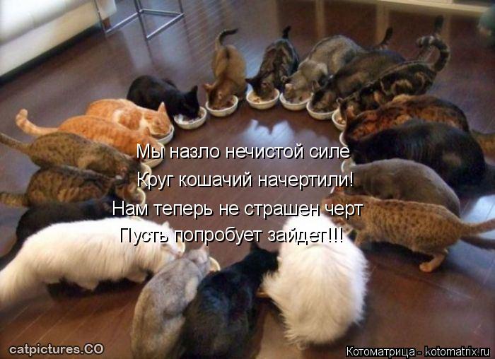 Котоматрица: Мы назло нечистой силе Круг кошачий начертили! Нам теперь не страшен черт Пусть попробует зайдет!!!