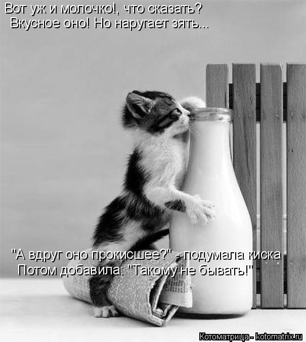Котоматрица: "А вдруг оно прокисшее?" - подумала киска Вот уж и молочко!, что сказать? Вкусное оно! Но наругает зять... Потом добавила: "Такому не бывать!"