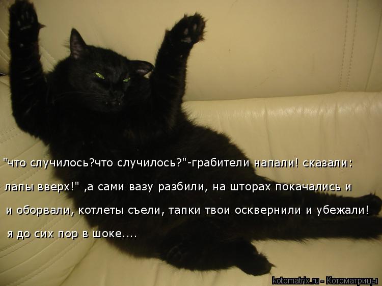 лапы вверх!" ,а сами вазу разбили, на шторах покачались и и оборвали, котлеты съели, тапки твои оскв... Котоматрица: лапы вверх!" ,а сами вазу разбили, на шторах покачались и и оборвали, котлеты съели, тапки твои осквернили и убежали! я до сих пор в шоке.... "чт