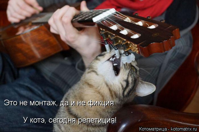 Котоматрица: Это не монтаж, да и не фикция У котэ, сегодня репетиция!