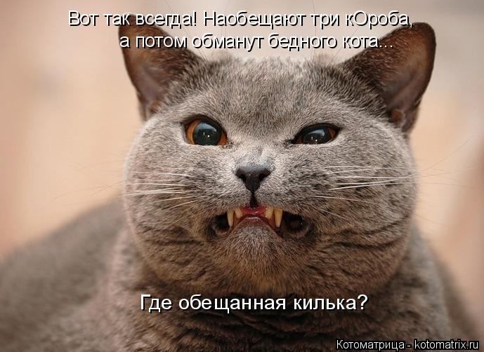 Котоматрица: Вот так всегда! Наобещают три кОроба, а потом обманут бедного кота... Где обещанная килька?