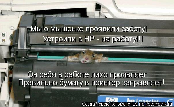 Устроили в HP - на работу!!! Мы о мышонке проявили заботу! Правильно бумагу в принтер заправляет! Он ... Котоматрица: Устроили в HP - на работу!!! Мы о мышонке проявили заботу! Правильно бумагу в принтер заправляет! Он себя в работе лихо проявляет.