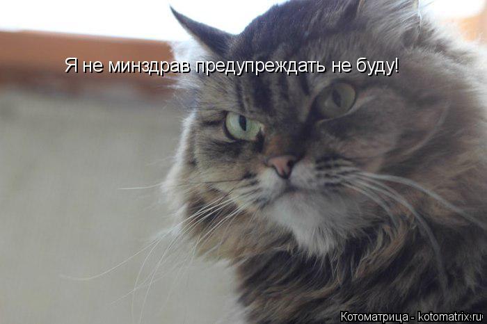 Котоматрица: Я не минздрав предупреждать не буду!