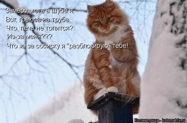 Котоматрица: Замёрз, хоть в шубе я, Вот, греюсь на трубе. Что, печь не топится? Из-за меня??? Что ж, за сосиску я "разблокирую" тебе!