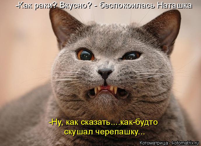 -Как раки? Вкусно? - беспокоилась Наташка -Ну, как сказать....как-будто скушал черепашку...... Котоматрица: -Как раки? Вкусно? - беспокоилась Наташка -Ну, как сказать....как-будто скушал черепашку...